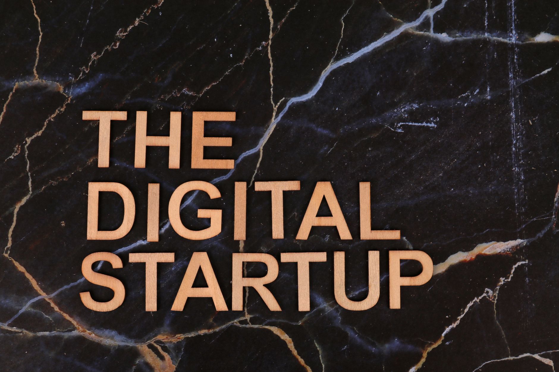 Business & Startup Visas